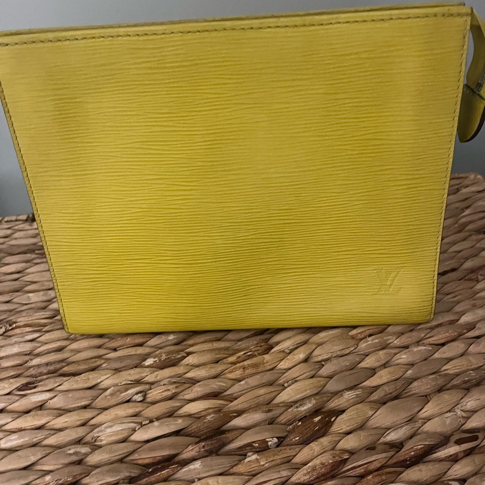 Louis Vuitton EPi 26 toiletry